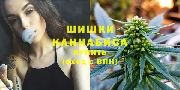 ГАЛЛЮЦИНОГЕННЫЕ ГРИБЫ Арсеньев