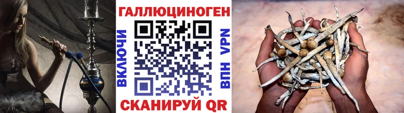 как найти закладки  Нижняя Салда  Галлюциногенные грибы GOLDEN TEACHER 